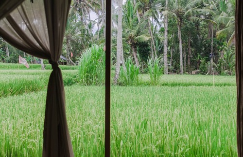 Pejeng Kawan Villa | 7 BR Amazing Luxury Designer Villa in Ubud