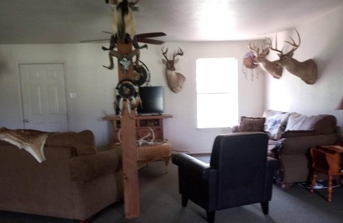 Hamilton House | 800 acre infested with wildlife !