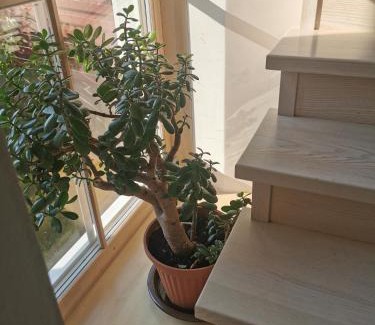 Klaipeda county House | 9 min from Palanga! luxury house on the river and sauna