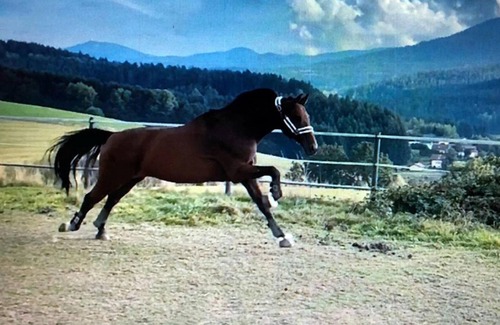 Lohberg Apartment | 90qm-dachgeschoss Wohnung mit Großer Terrasse und Wlan