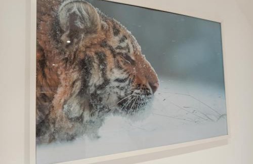 Saint-Aignan House | A 4 min du Zoo de Beauval La Maison à Partager Ch4 2ème étage