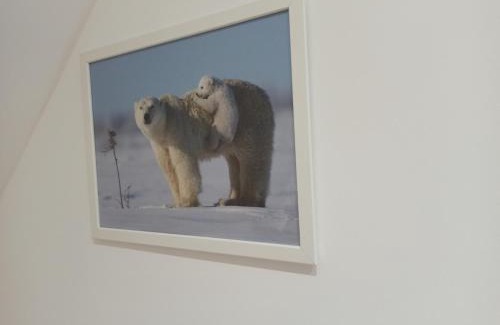 Saint-Aignan House | A 4 min du Zoo de Beauval La Maison à Partager Ch4 2ème étage