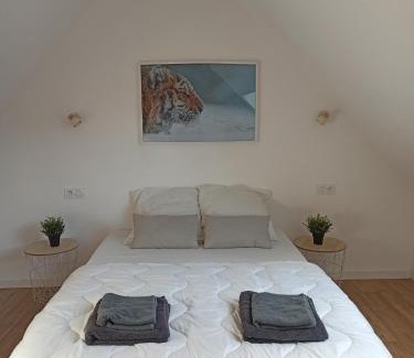 Saint-Aignan House | A 4 min du Zoo de Beauval La Maison à Partager Ch4 2ème étage