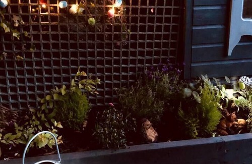 Felinfach Cabin | A beautiful, unique lodge, made for two