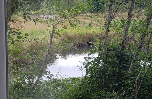 Adna Apartment | A Cabin in the Woods