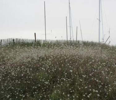 Carolles House | A Carolles, maison idéale pour des vacances Nature