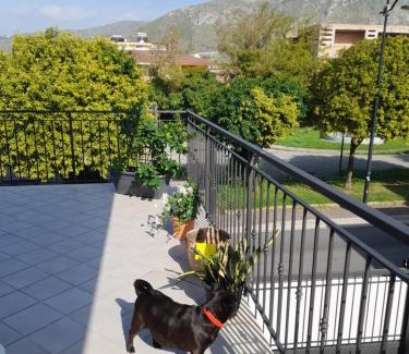 Mondragone Apartment | A Casa di Falco