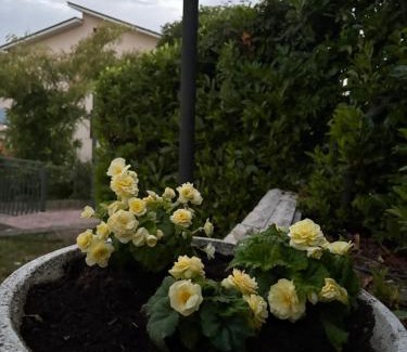 Campobasso Bed & Breakfast | A casa di Rita