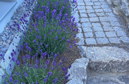 Peiting Apartment | A cozy oasis in the foothills of the Alps. Beautiful bright apartment with 4 sleeping places.