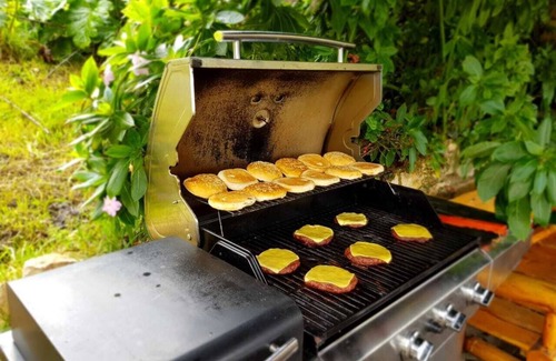 La Calera House | A different experience in a plane lost in the Colombian forest