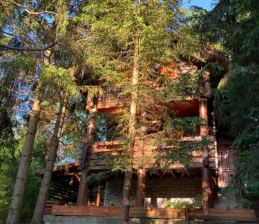 Bukkaranyos Ski Chalet | A fák ölelése vendégház