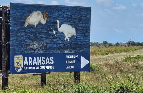 Tivoli Cabin | A fisherman's paradise, located on the beautiful Guadalupe River.