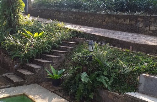 Kandy Ski Chalet | A forest stay, one sip at a time! Warm hospitality in a calm and serene setting.