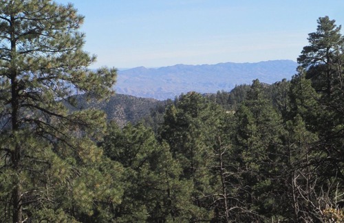 Kingman Cabin | A-frame cabin in the Hualapai Mountains 🌲