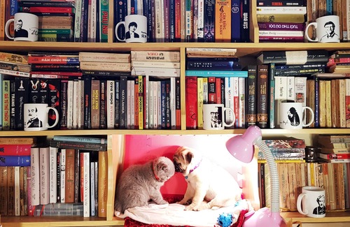 Dich Vong Apartment | A gentle bookworm place