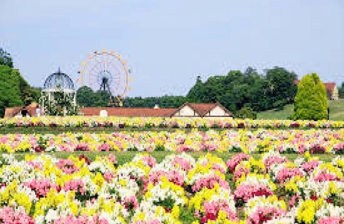 Kisarazu Hotel | A Japanesestyle twin nonsmoking room with a plan/Kisarazu Chiba