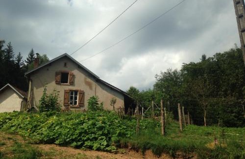 Saint-Sauveur House | A l'orée de soi - Maison forestière de la Soie - Eco gîte, chambres d'hôtes, camping au pied des Vosges