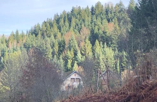Saint-Sauveur House | A l'orée de soi - Maison forestière de la Soie - Eco gîte, chambres d'hôtes, camping au pied des Vosges