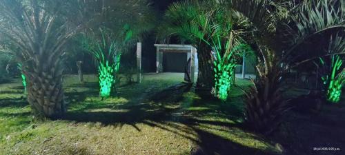 Rocha House | A pasitos del mar