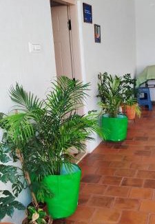 Vijayanagar House | A spacious AC room with wide Balcony -Karimbumel House a perfect place for yoga practicioners