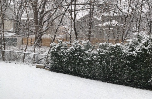 Fair Lawn House | A Specious house by the parks and NY City