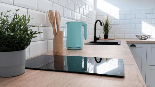 Bydgoszcz Apartment | A Tranquil Attic Retreat Near Old Town