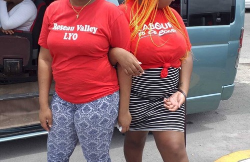 Roseau House | A white house sorounded by lush green forest and is close to the Trafalgar Falls