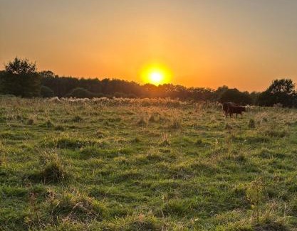 Datgen Apartment | A7 Apartment 1