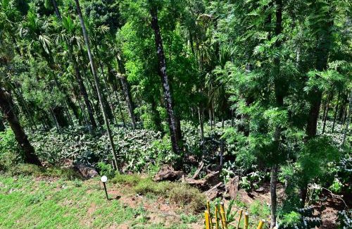 Walapane House | Aayana Valley