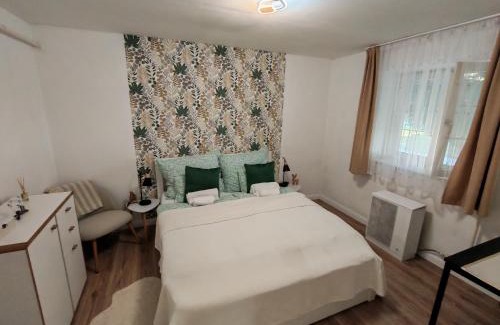 Abadszalok Apartment | Abádi Pagony vendégház