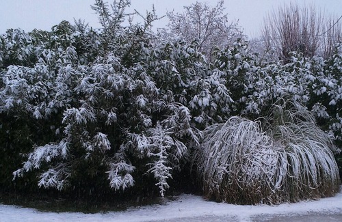 La Llagonne Apartment | Accommodation sleeps 30