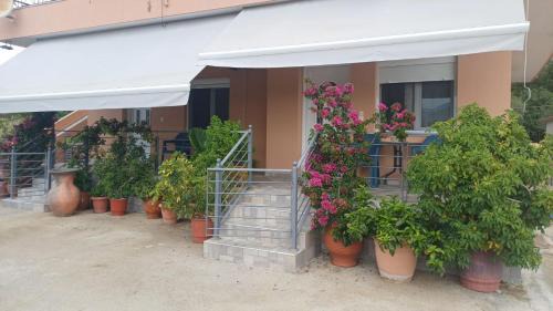 Souli Apartment | Acheron Flow by ΜΡS