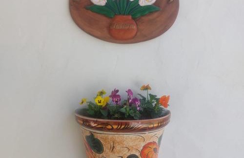 El Ensueno Apartment | Acogedora cabaña para dos