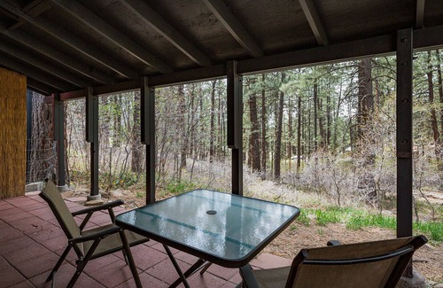 Forest Lakes Cabin | Adventure Basecamp Cabin is Near Lakes, Wooded Setting, Small Dog OK