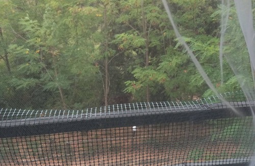 Tortorella Apartment | Adventure holiday in Cilento