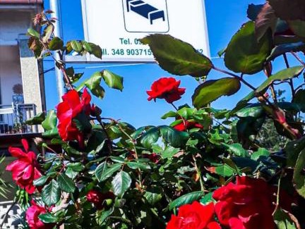 Roseto Capo Spulico Bed & Breakfast | Affittacamere delle rose