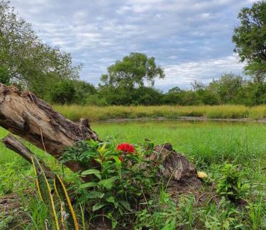 Selous Game Reserve Cabin | Africa Safari Selous Nyerere national park
