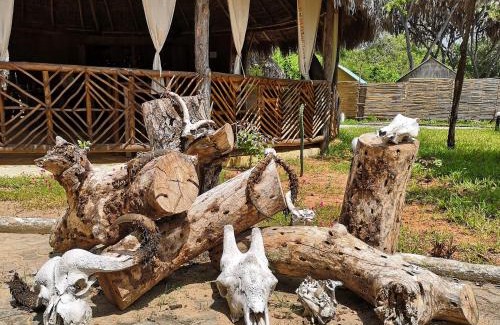 Selous Game Reserve Cabin | Africa Safari Selous Nyerere national park