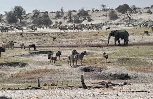 South-East District Apartment | Afrinatural Safaris