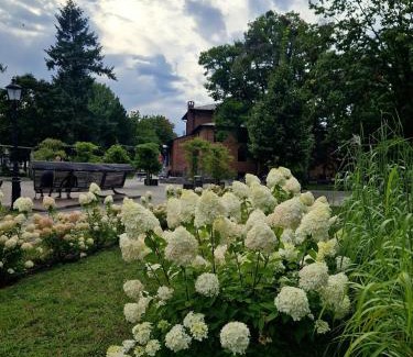 Ciechocinek House | Agawa