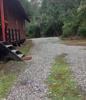 Villarrica House | Agradable Cabaña inserta en bosque nativo