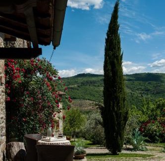 Capolona House | Agriturismo Azienda Agricola Il Pozzo