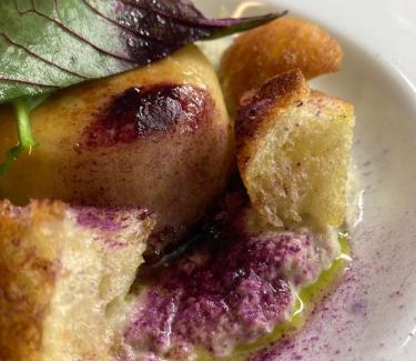 Serra San Quirico House | Agriturismo Becerca Vegan