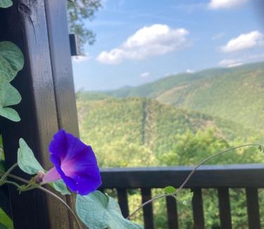 Serra San Quirico House | Agriturismo Becerca Vegan