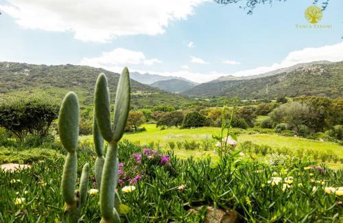 Telti House | Agriturismo Bed and Breakfast Tanca Taroni