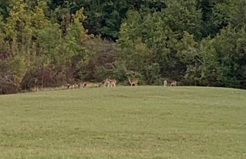 Mongiardino Ligure House | Agriturismo Cà di Matt