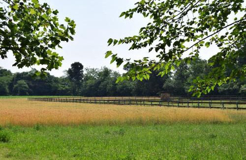 Palazzolo sull'Oglio House | Agriturismo Cà Del Lupo