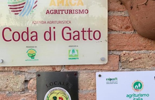 Passarella di Sotto House | Agriturismo coda di gatto