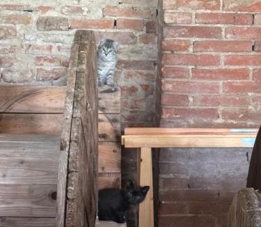 Mantua House | Agriturismo Corte San Girolamo