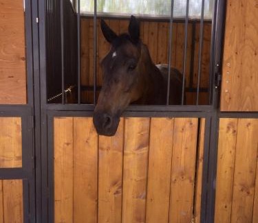 Oleggio House | Agriturismo Helianthus